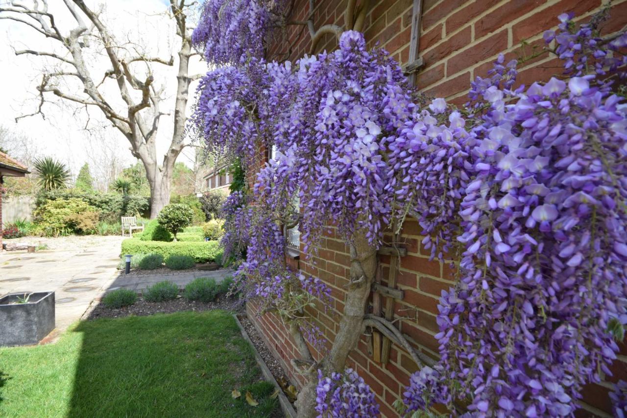 Wisteria Way, Tangmere Exterior photo